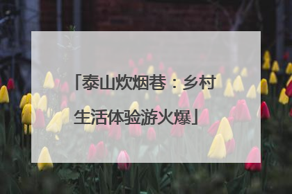 泰山炊烟巷：乡村生活体验游火爆