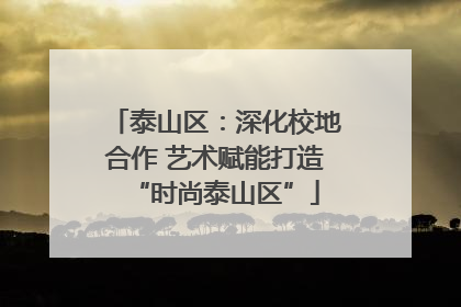 泰山区：深化校地合作 艺术赋能打造“时尚泰山区”