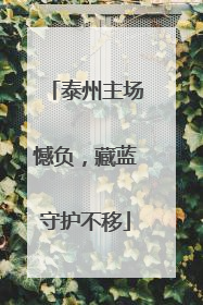 泰州主场憾负，藏蓝守护不移
