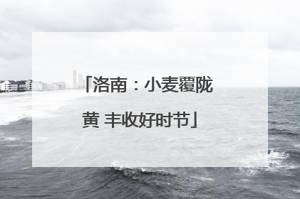 洛南：小麦覆陇黄 丰收好时节