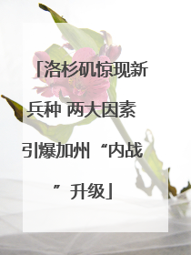 洛杉矶惊现新兵种 两大因素引爆加州“内战”升级