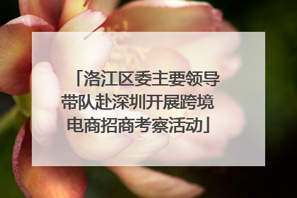 洛江区委主要领导带队赴深圳开展跨境电商招商考察活动