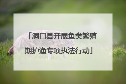 洞口县开展鱼类繁殖期护渔专项执法行动