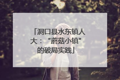 洞口县水东镇人大：“蘑菇小镇”的破局实践