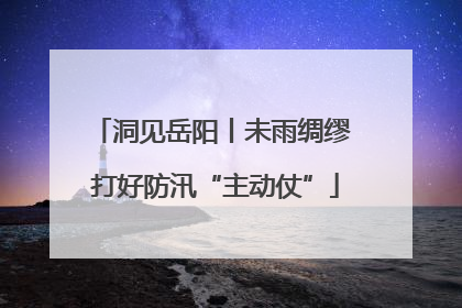 洞见岳阳丨未雨绸缪 打好防汛“主动仗”