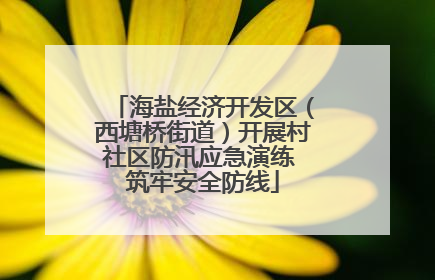 海盐经济开发区（西塘桥街道）开展村社区防汛应急演练 筑牢安全防线