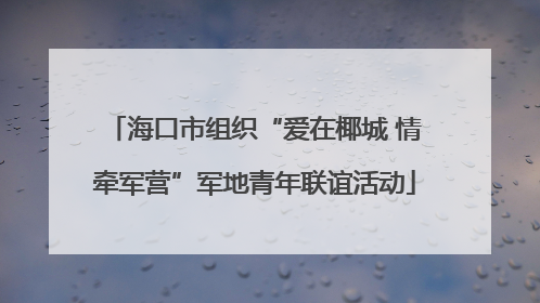 海口市组织“爱在椰城 情牵军营”军地青年联谊活动