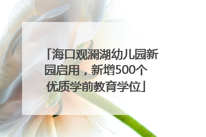 海口观澜湖幼儿园新园启用，新增500个优质学前教育学位