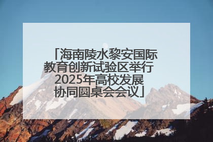 海南陵水黎安国际教育创新试验区举行2025年高校发展协同圆桌会会议