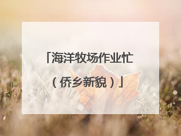 海洋牧场作业忙（侨乡新貌）