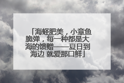 海蛏肥美，小章鱼脆弹，每一种都是大海的馈赠——夏日到海边 就爱那口鲜
