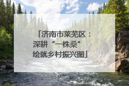 济南市莱芜区：深耕“一株桑” 绘就乡村振兴图