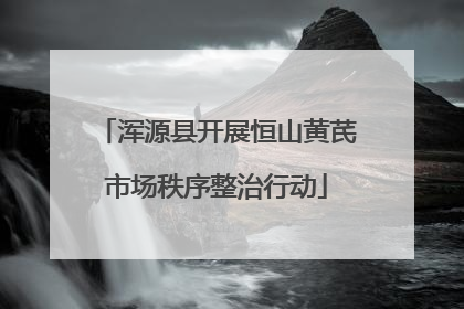 浑源县开展恒山黄芪市场秩序整治行动