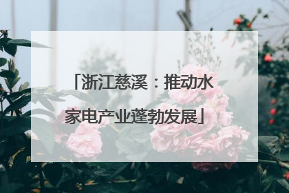 浙江慈溪：推动水家电产业蓬勃发展