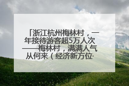 浙江杭州梅林村，一年接待游客超5万人次——梅林村，满满人气从何来（经济新方位·农村消费观察）
