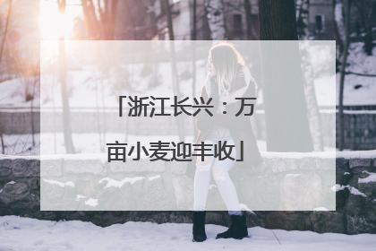 浙江长兴：万亩小麦迎丰收
