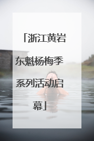 浙江黄岩东魁杨梅季系列活动启幕