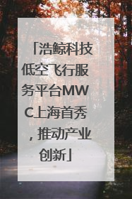 浩鲸科技低空飞行服务平台MWC上海首秀，推动产业创新