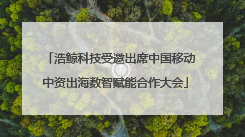 浩鲸科技受邀出席中国移动中资出海数智赋能合作大会