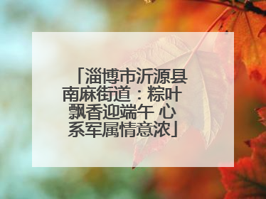 淄博市沂源县南麻街道：粽叶飘香迎端午 心系军属情意浓