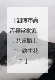 淄博市高青县常家镇：共富路上“一路生花”