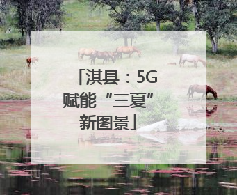 淇县：5G赋能“三夏”新图景