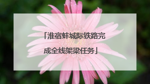 淮宿蚌城际铁路完成全线架梁任务