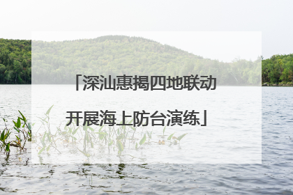 深汕惠揭四地联动开展海上防台演练