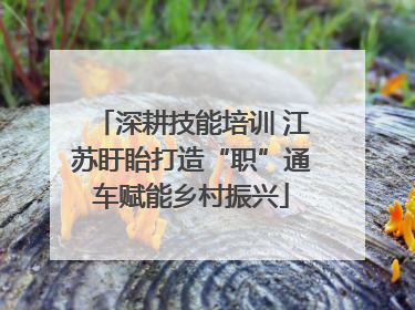 深耕技能培训 江苏盱眙打造“职”通车赋能乡村振兴