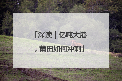 深读｜亿吨大港，莆田如何冲刺