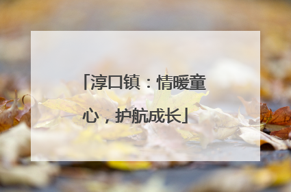 淳口镇：情暖童心，护航成长