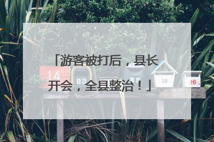游客被打后，县长开会，全县整治！