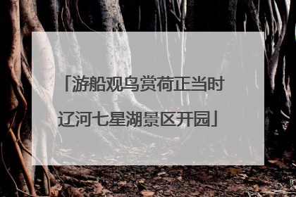 游船观鸟赏荷正当时 辽河七星湖景区开园