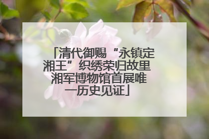 清代御赐“永镇定湘王”织绣荣归故里 湘军博物馆首展唯一历史见证