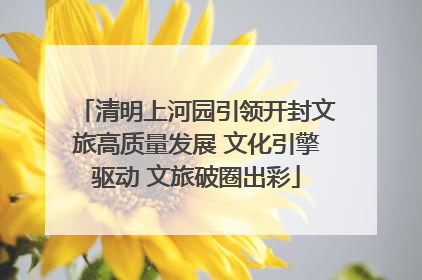 清明上河园引领开封文旅高质量发展 文化引擎驱动 文旅破圈出彩