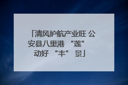 清风护航产业旺 公安县八里港 “莲” 动好 “丰” 景