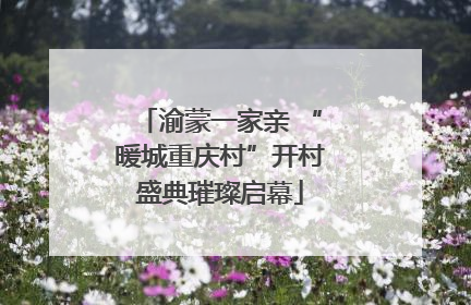 渝蒙一家亲 “暖城重庆村”开村盛典璀璨启幕