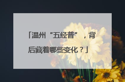 温州“五经普”，背后藏着哪些变化？