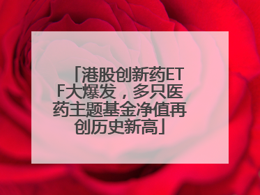 港股创新药ETF大爆发，多只医药主题基金净值再创历史新高