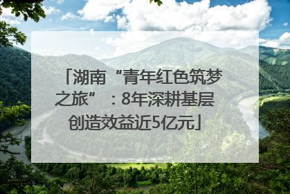 湖南“青年红色筑梦之旅”：8年深耕基层创造效益近5亿元