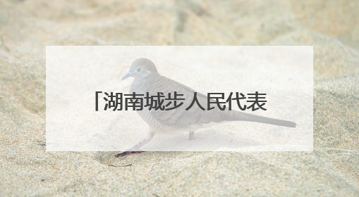 湖南城步人民代表大会制度研学基地成民众学习驿站