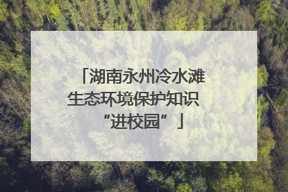 湖南永州冷水滩生态环境保护知识“进校园”