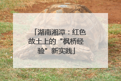 湖南湘潭：红色故土上的“枫桥经验”新实践