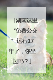 湖南这里“免费公交”运行17年了，你坐过吗？