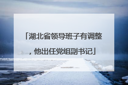 湖北省领导班子有调整，他出任党组副书记
