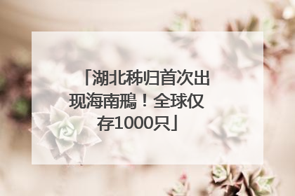 湖北秭归首次出现海南鳽！全球仅存1000只