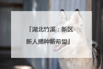 湖北竹溪：新区新人播种新希望