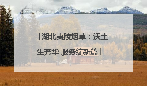 湖北夷陵烟草：沃土生芳华 服务绽新篇