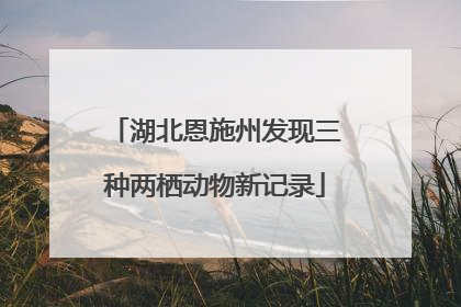 湖北恩施州发现三种两栖动物新记录