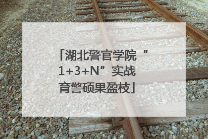 湖北警官学院“1+3+N”实战育警硕果盈枝